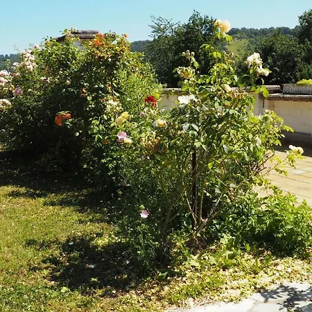 Bauer Apartamento